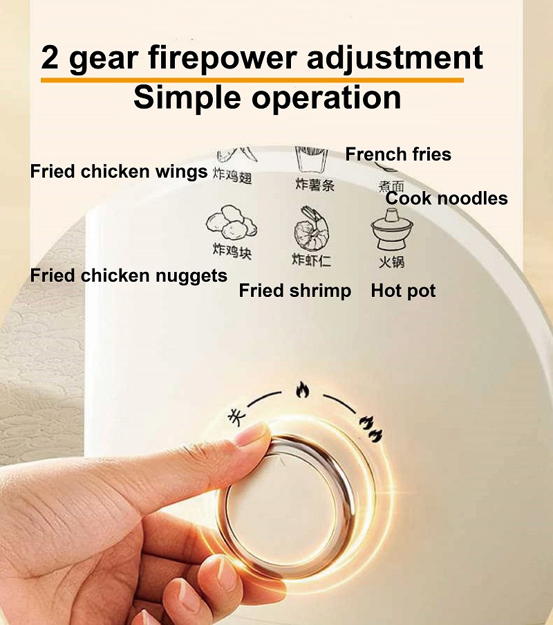 Electric Fryer Non-stick Frenc - Home Cooking In French 评论和价格
