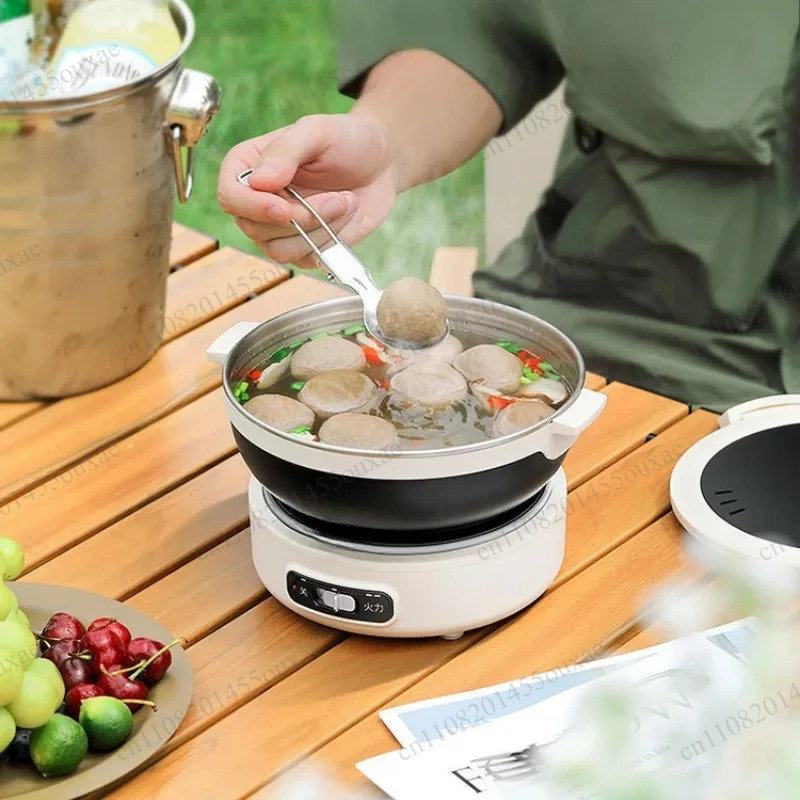 220V Portable Split Multi Cook - Hot Pot Portable Dual 评论和价格
