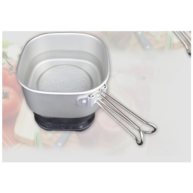 1.3L Dual Voltage Mini Travel  - Hot Pot Portable Dual 评论和价格