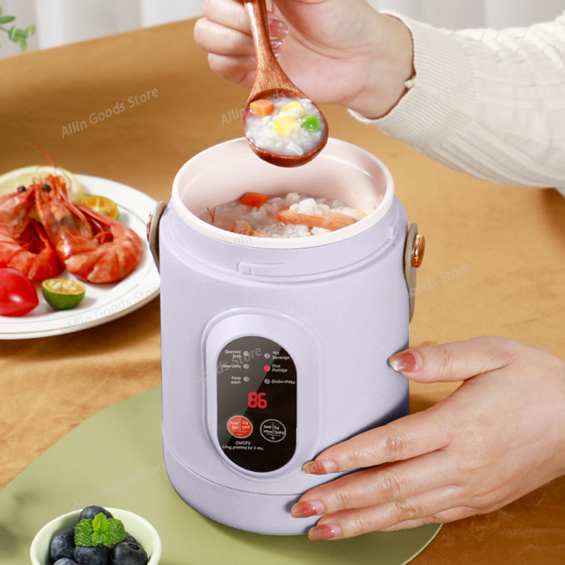 Portable Multifunctional Mini  - Hot Pot Portable Dual 评论和价格